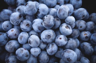 blueberries-690072_1920